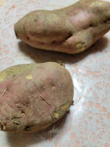 食欲の秋！サツマイモ🍠