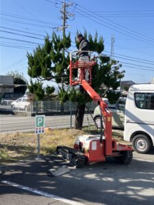 すっきり！木々のメンテ日和🌳