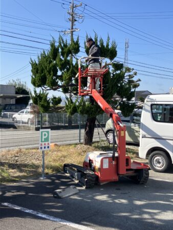 すっきり！木々のメンテ日和🌳