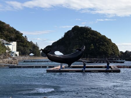 有給休暇を満喫🐋