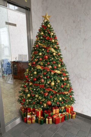 🎄Merry Christmas🎅