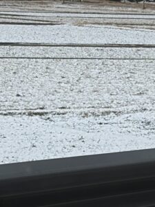 雪が積もりました☃